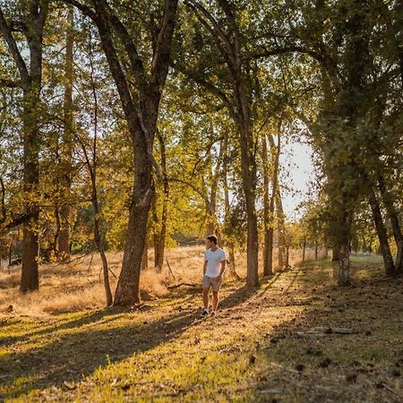 Lovers Nest By Casa Oso With Private Hiking Trails And Pond マリポサ エクステリア 写真